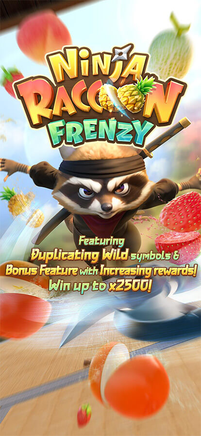 Frenesi do Guaxinim Ninja